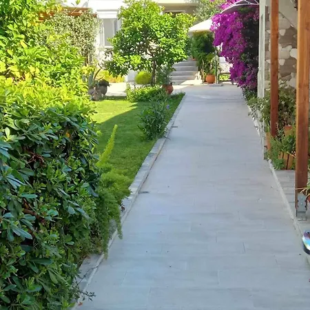 Dom wakacyjny Alkistis House