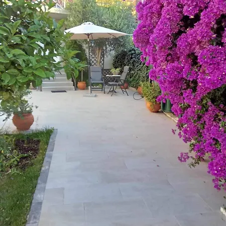 Alkistis House Волос